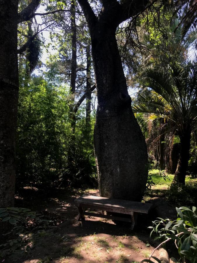 Villa Anede Río Ceballos المظهر الخارجي الصورة