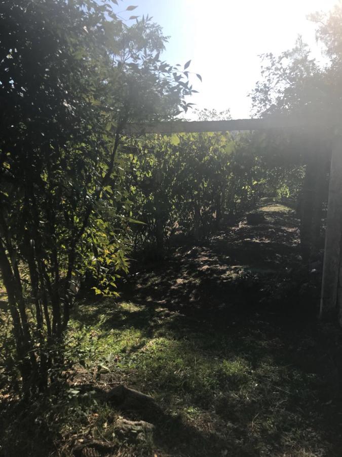 Villa Anede Río Ceballos المظهر الخارجي الصورة